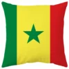 Housse de coussin les pays de la coupe du monde 20